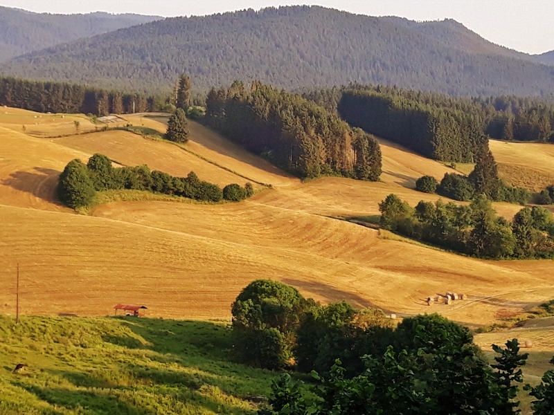 Panorama dell'Altopiano di Asiago - Landscape of the Asiago Plateau